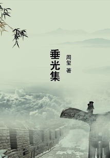 垂光集