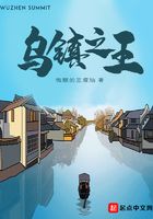 烏鎮之王在線閱讀
