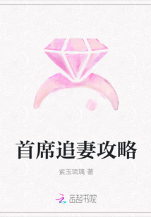 首席追妻攻略