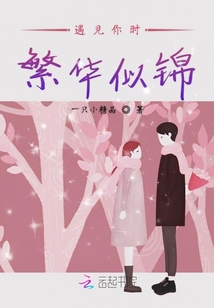 遇见你时繁华似锦