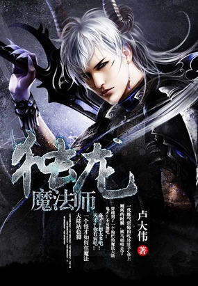 独龙魔法师在线阅读