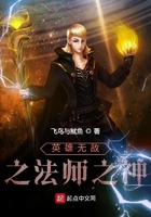 英雄无敌之法师之神在线阅读