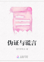 伪证与谎言在线阅读