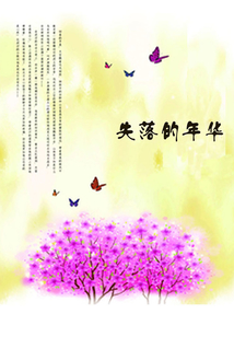 失落的年華