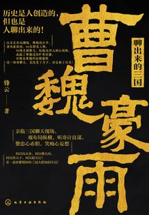 聊出来的三国:曹魏豪雨