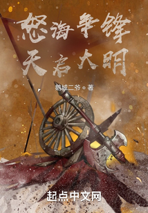 怒海爭鋒:天啟大明