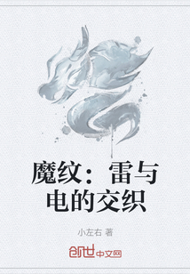 魔纹：雷与电的交织