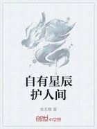 自有星辰护人间在线阅读