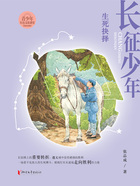 长征少年·生死抉择在线阅读