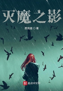 灭魔之影 cover