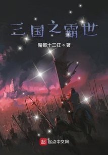 三国之霸世