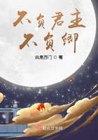 不负君主不负卿