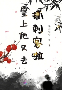 皇上他又去抓刺客啦