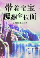 带着宝宝搅翻全位面在线阅读
