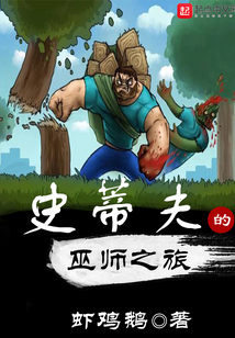 史蒂夫的巫師之旅