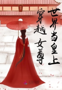 穿越女尊世界當(dāng)皇上