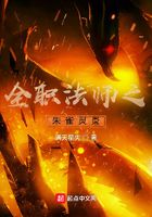 全职法师之朱雀灵炎在线阅读
