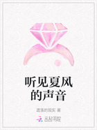 听见夏风的声音在线阅读