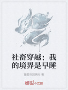 社畜穿越：我的境界是早睡在線閱讀