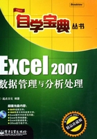 Excel 2007数据管理与分析处理