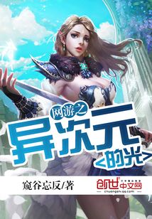 网游之异次元的光