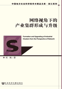 網(wǎng)絡視角下的產(chǎn)業(yè)集群形成與升級