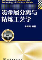 贵金属分离与精炼工艺学（第二版）在线阅读