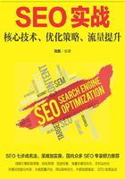 SEO实战：核心技术、优化策略、流量提升