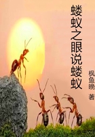 蝼蚁之眼说蝼蚁在线阅读