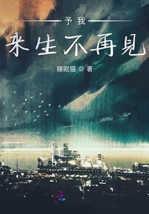 予我來生不再見