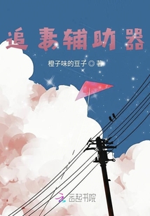 追妻辅助器