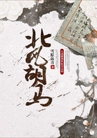北风胡马
