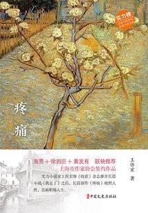 疼痛（實力榜·中國當代作家長篇小說文庫）