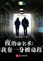 夜的命名术:我有一身被动技在线阅读