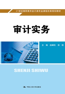審計實務(wù)
