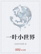 一叶小世界在线阅读
