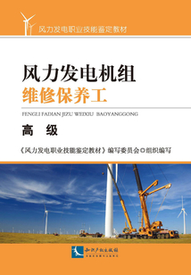 風力發電機組維修保養工：高級
