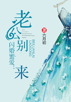 閃婚蜜愛：老公別來在線閱讀