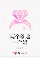 两个爹地一个妈在线阅读