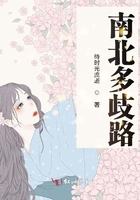南北多歧路在線閱讀