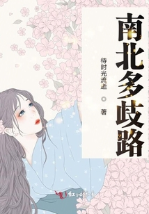 南北多歧路