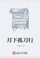 月下孤刀行在線閱讀