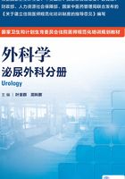 外科学：泌尿外科分册