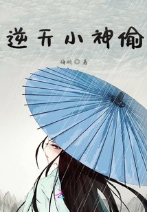 逆天小神偷