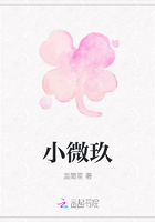 小微玖在线阅读