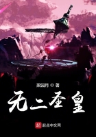 無二圣皇在線閱讀
