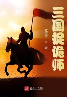 三国捉诡师