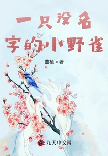 一只沒名字的小野雀