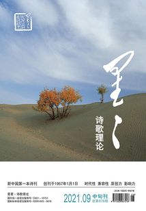 星星·诗歌理论（2021年第9期）