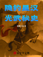 隐钓星汉:光武秘史在线阅读